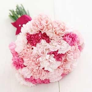 Bunch of 15 Carnations